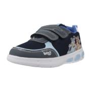 Lage Sneakers Garvalin 262860G