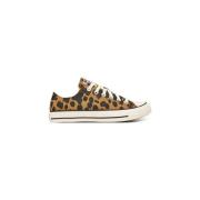 Lage Sneakers Converse -