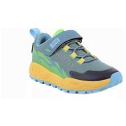 Lage Sneakers Primigi -