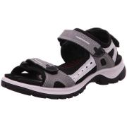 Fitness Schoenen Ecco -