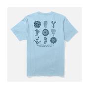 T-shirt Korte Mouw Salty Crew  head ss tee