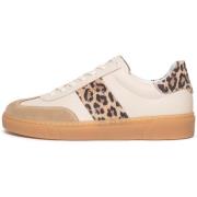 Lage Sneakers NeroGiardini Velour Camel Velvet Milk 1039 T.Aida Leo +I...