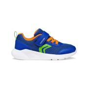 Lage Sneakers Geox -