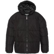 Donsjas Schott Jassen blousons--Vrouw