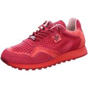 Lage Sneakers Cetti -