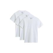 T-shirt Korte Mouw Vans Basic