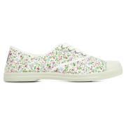 Sneakers Natural World Koala