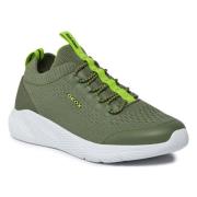 Lage Sneakers Geox -