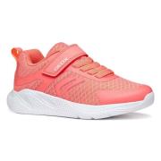 Lage Sneakers Geox -