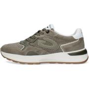 Lage Sneakers Alberto Guardiani GM61031A