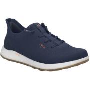 Lage Sneakers Josef Seibel -