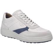 Lage Sneakers Josef Seibel -