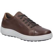 Lage Sneakers Josef Seibel -