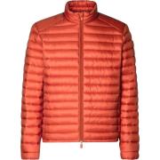 Trainingsjack Save The Duck Jas Alex Oranje