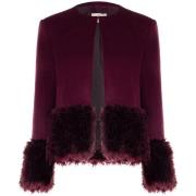 Windjack Rinascimento CFC0125791003