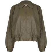 Windjack Rinascimento CFC0129318003