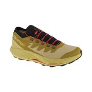 Wandelschoenen Salomon Pulsar Trailpro