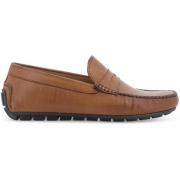 Mocassins Melluso U16038-255242