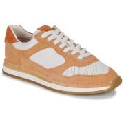 Lage Sneakers Clarks CraftRun Tor
