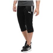 Korte Broek Puma Pantalon Teamliga Training 3/4