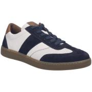 Lage Sneakers Josef Seibel -