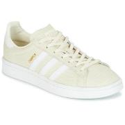 Lage Sneakers adidas CAMPUS