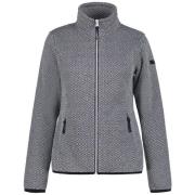 Fleece Jack Icepeak -