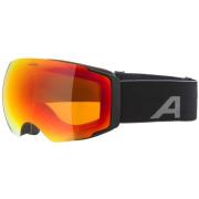 Sportaccessoires Alpina -