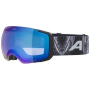 Sportaccessoires Alpina -