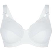 Voorgevormde bh Lingadore DAILY Beugel BH - Plus Size