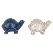 Beeldjes Signes Grimalt Turtle 2U