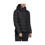 Donsjas adidas Traveer Cold.rdy