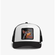 Pet Goorin Bros -