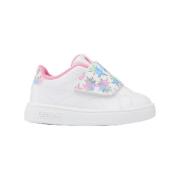 Lage Sneakers Reebok Sport Court Clean H