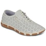 Lage Sneakers TBS JAZFLOR