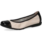 Ballerina's Caprice -