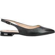 Ballerina's Högl Ballerina´s