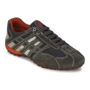 Lage Sneakers Geox SNAKE