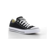 Sneakers Converse CHUCK TAYLOR ALL STAR OX M9166C