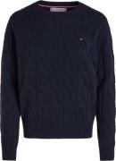 Tommy Hilfiger Trui Blauw dames