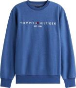 Tommy Hilfiger Sweater Tommy Logo Blauw heren