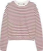 Catwalk Junkie Sweater Striped with elastic hems Bordeaux Rood dames