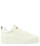 Low Cut Sneaker