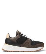 Jaime Trainer