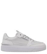 Endorsed Tennis