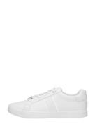 Calvin Klein - Low Pro Lace Up-hf Mn Mix