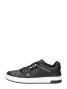 Calvin Klein - Cupsole Laceup Basket Low Lth