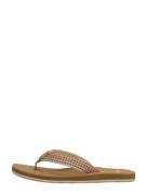 Reef - Baja Elana  Kleuren