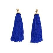 Pre-owned Fabric earrings Emilio Pucci Pre-owned , Blue , Dames
