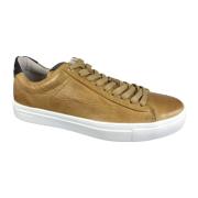 Schoenen Sneaker Blackstone , Brown , Heren